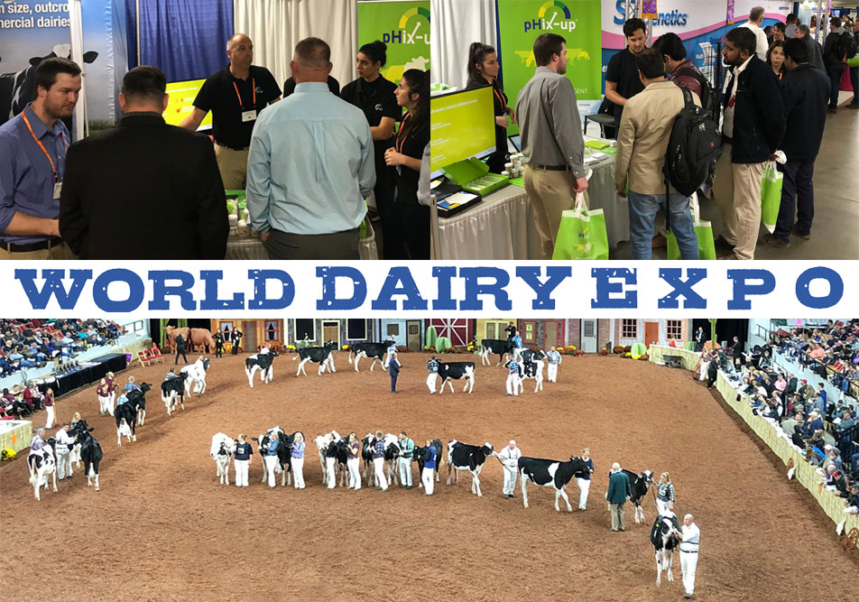 Exito en la WORLD DAIRY EXPO