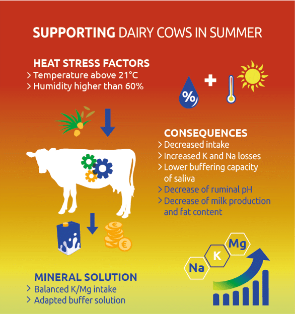 https://www.timabmagnesium.com/wp-content/uploads/2021/07/carre-Heat-stress_infographics_EN.png