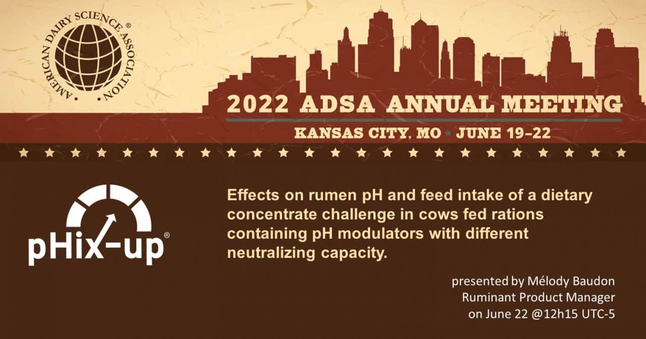 Annual Meeting 2024 Adsa Pepi Trisha